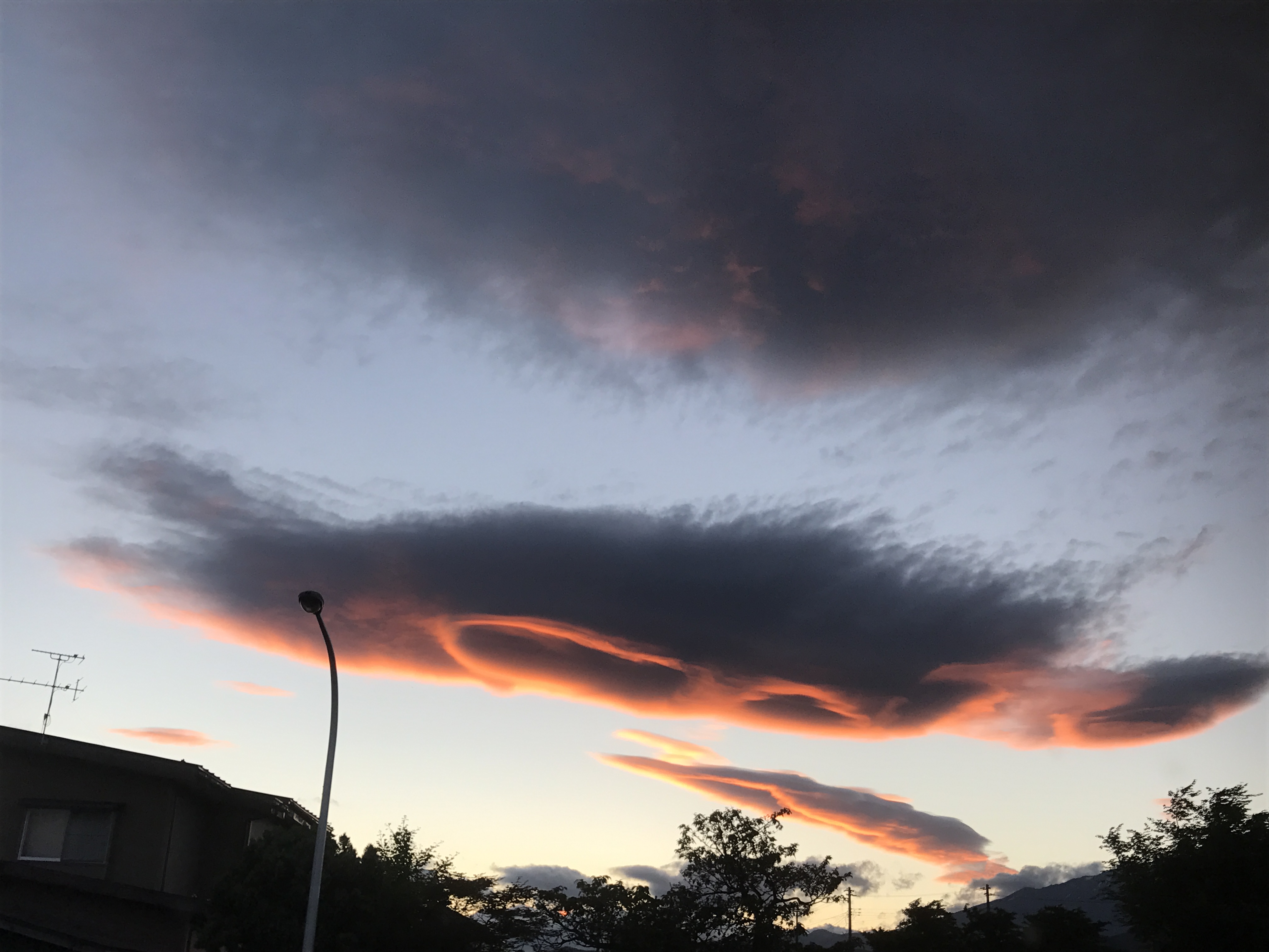 No.81020-1 地震前兆