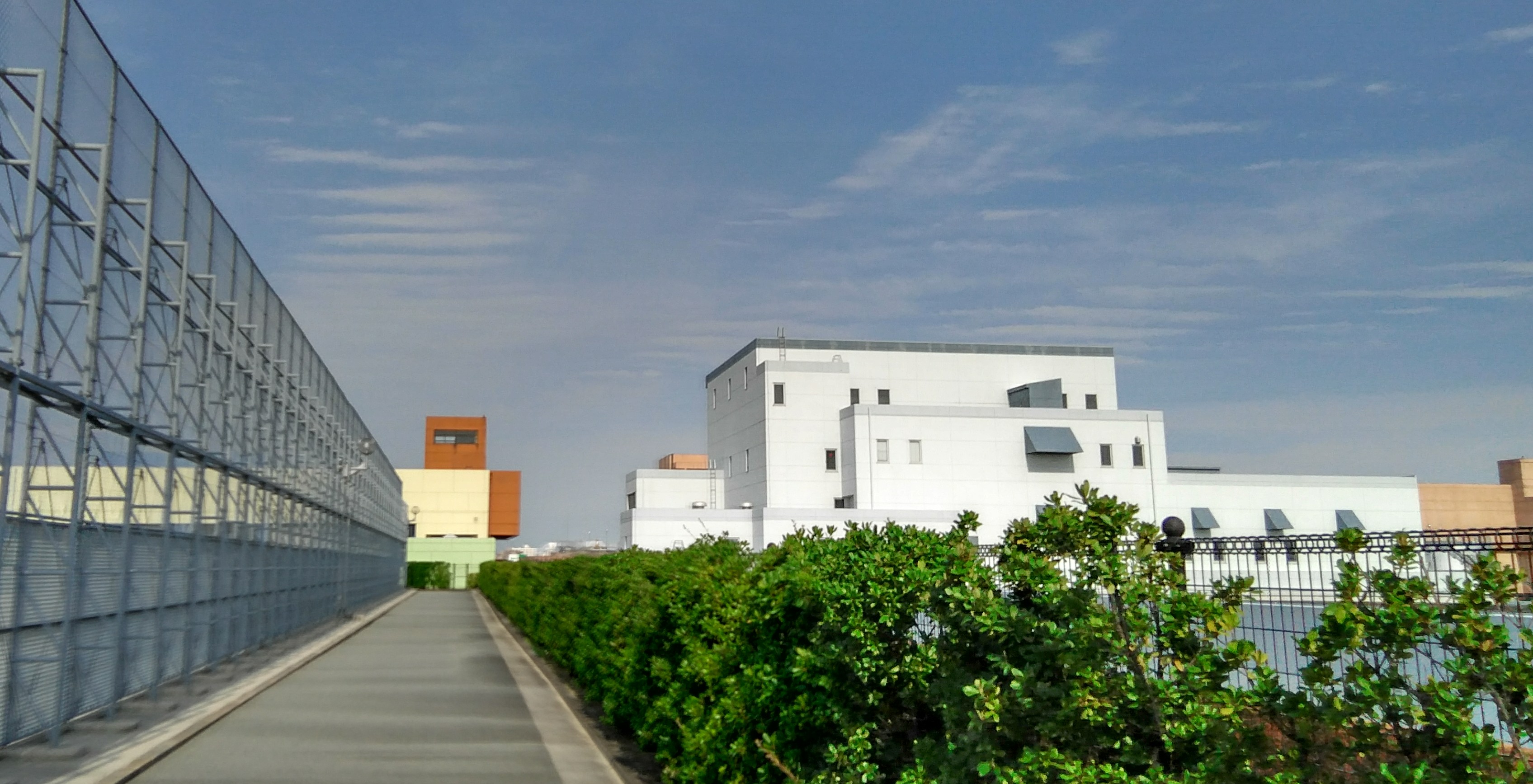 No.94796-1 地震前兆